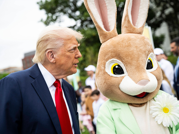 «Трамп струсил»: президент США стал посмешищем после решения ослабить пошлины для Китая