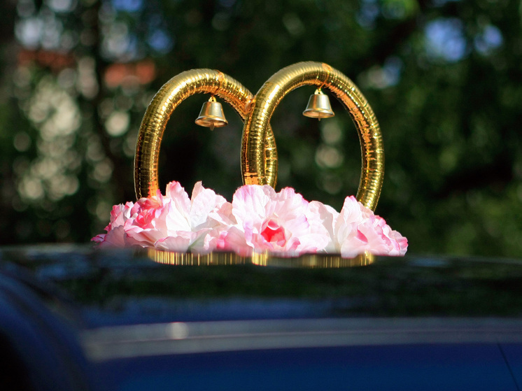 Россиян хотят посвящать в финансовые тайны женихов и невест