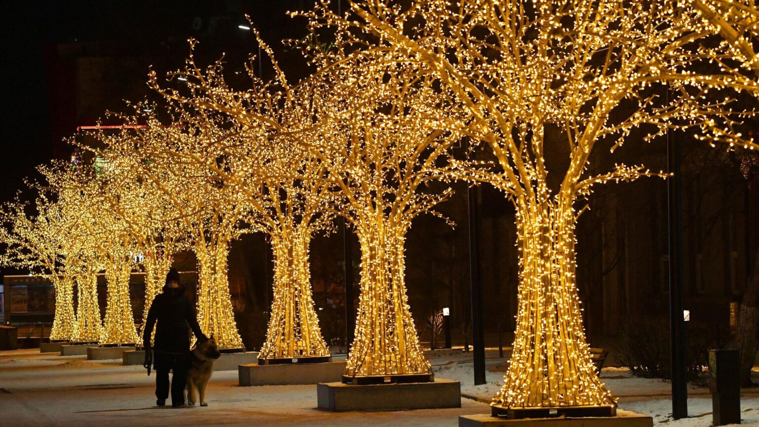 Исследование показало, куда россияне планируют поехать на Новый год